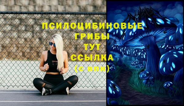 Альфа ПВП Карпинск