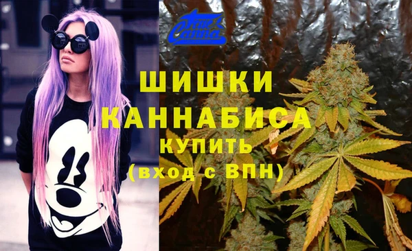 метадон Касимов