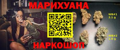 индика Кандалакша