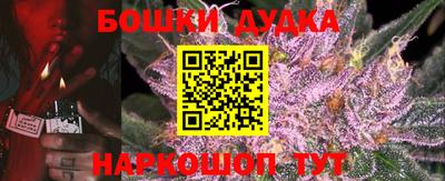 индика Кандалакша