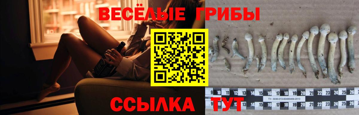 Галлюциногенные грибы прущие грибы  Псилоцибиновые грибы GOLDEN TEACHER  Прокопьевск 